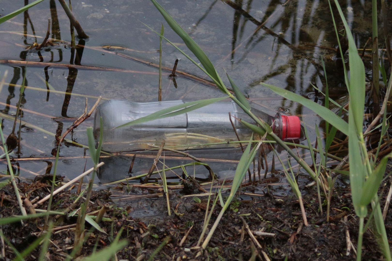 Plastikflasche in Wasser