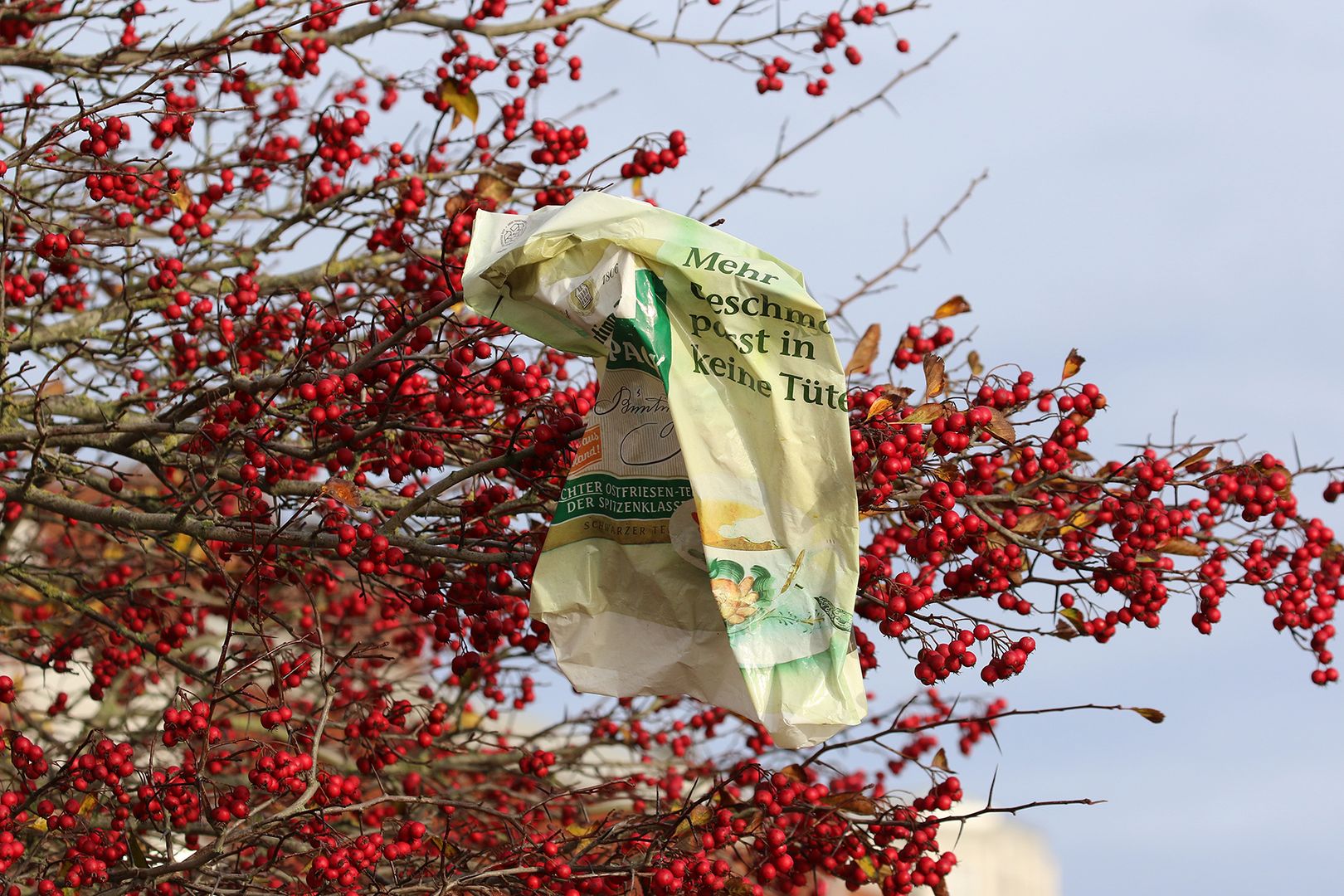 Plastiktüte höngt in einem Baum. Foto: BUND